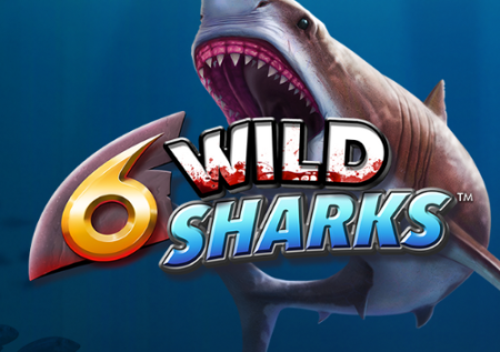 6 Wild Sharks